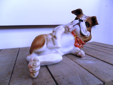 Bulldog