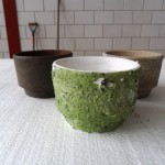 Drie kleuren bloempot PTMD
