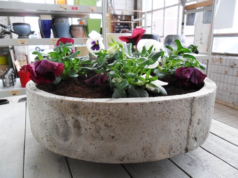Bloembak Beton