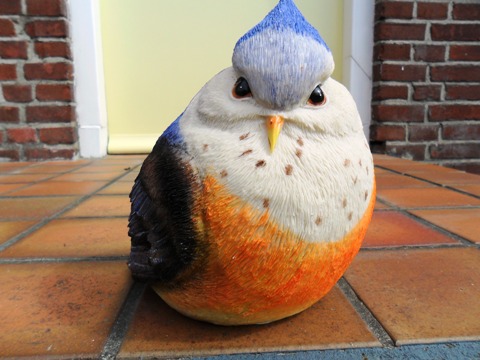 Koolmees te koop bij Veldt Restpartijen te Heerle