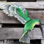 Vogel te koop bij Veldt Restpartijen te Heerle