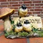 Welcome vogels te koop bij Veldt Restpartijen te Heerle