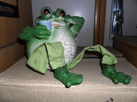 Kikker met beker te koop bij Veldt Restpartijen te Heerle