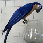 VR 59057Blauw
