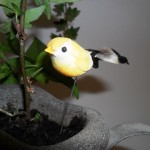 Decoratie vogeltje te koop bij Veldt Restpartijen te Heerle