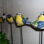 Koolmees op stok, te koop bij Veldt Restpartijen te Heerle