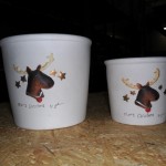 Kerst bloempot te koop bij Veldt Restpartijen te Heerle