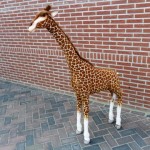 Giraffe te koop bij Veldt Restpartijen te Heerle