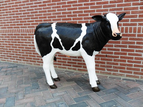 Koe te koop bij Veldt Restpartijen te Heerle