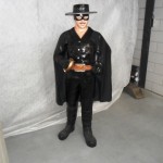 ZORRO te koop bij Veldt Restpartijen te Heerle