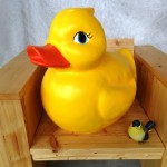 Badeendje te koop bij Veldt Restpartijen te Heerle