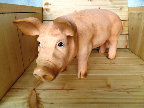 Varken te koop bij Veldt Restpartijen te Heerle