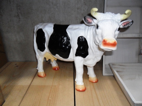 Koe te koop bij Veldt Restpartijen te Heerle