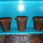 PTMD Collection Bloempotten te koop bij Veldt Restpartijen te Heerle