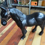 Paard