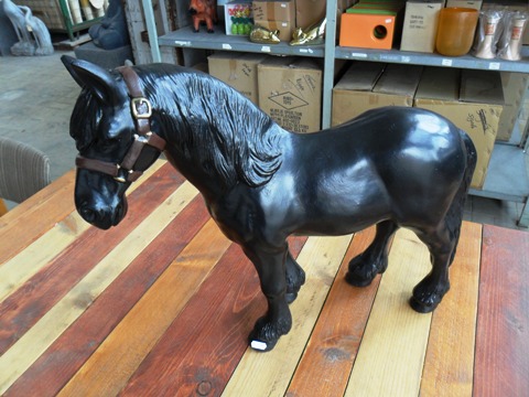 Paard