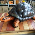 Schildpad