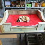 Houten hondenbankje met kleed