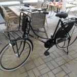 Oma Transporter fiets 1 (3)