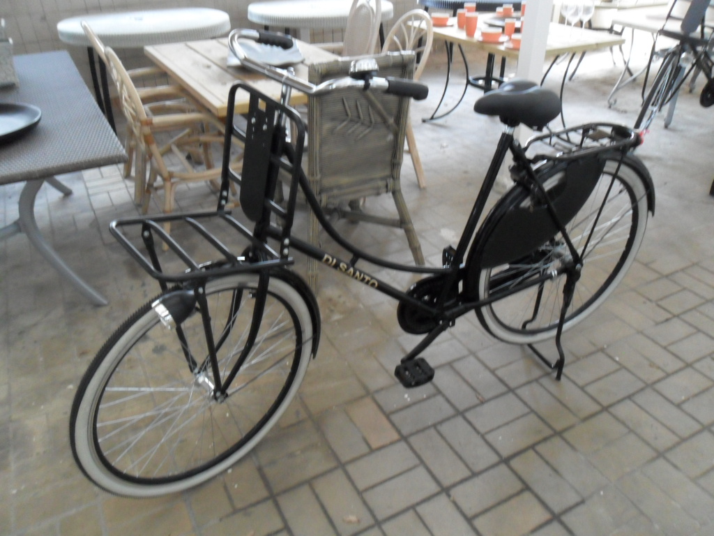 Oma Transporter fiets 1 (3)