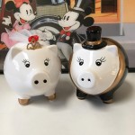 Spaarvarkentjes Bruidspaar